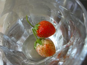 ～夏野菜の出来栄えは～　家庭菜園状況17