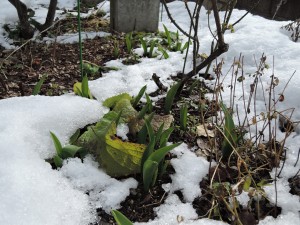 美味しい食事 in 長野